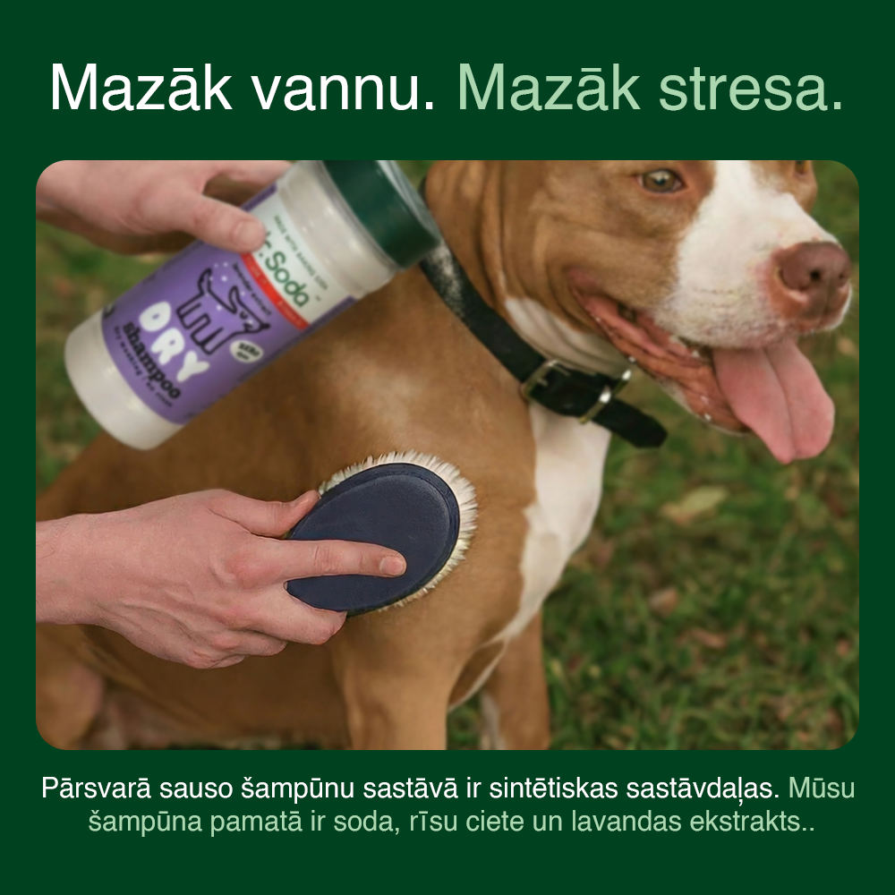 Dry Dog Shampoo lang-lv