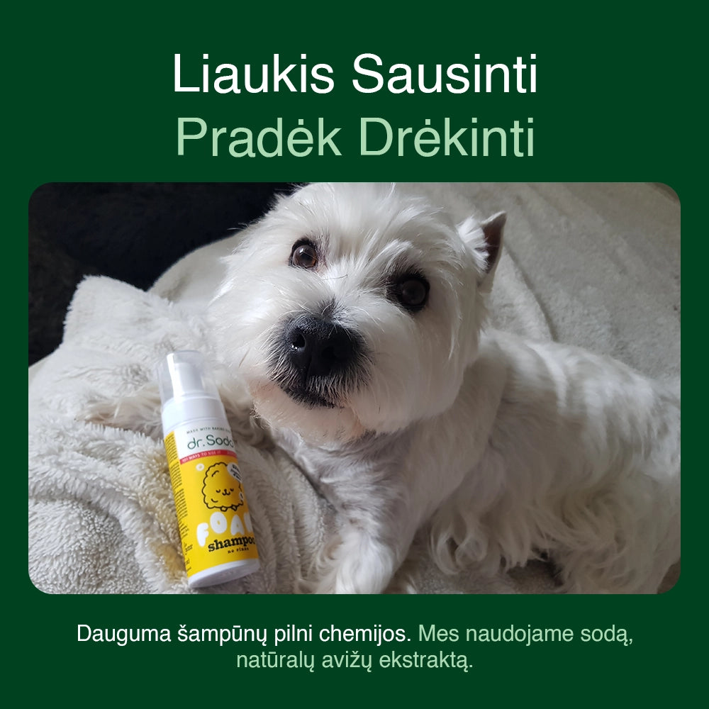 No-Rinse Foam Dog Shampoo