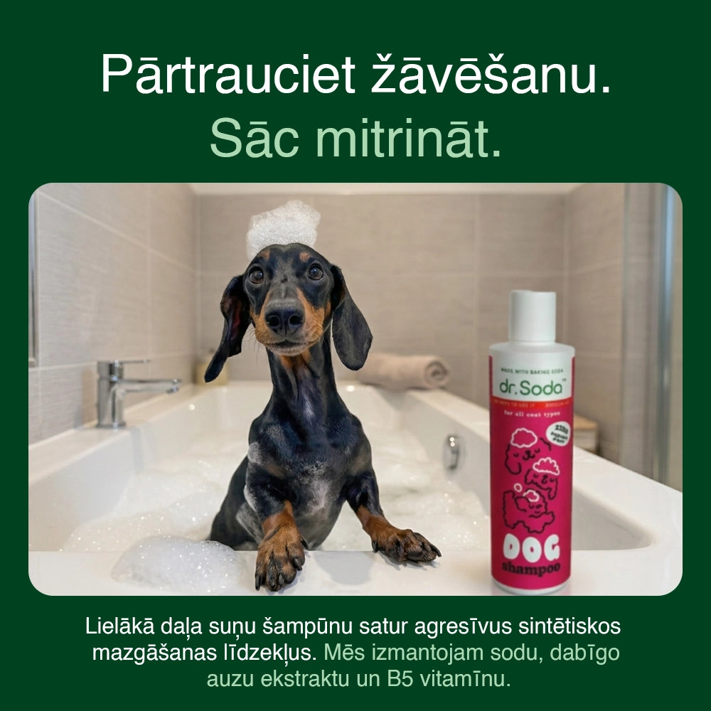Gentle Dog Shampoo lang-lv