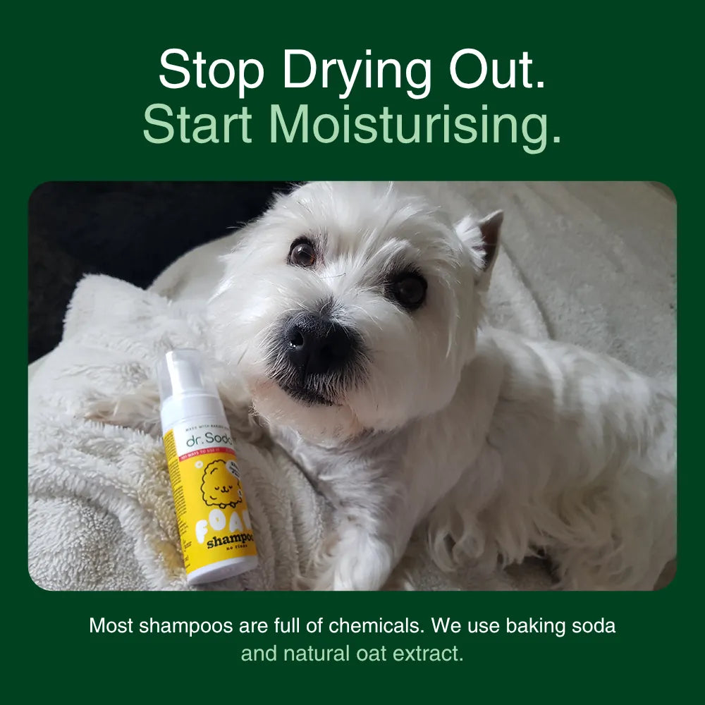 No-Rinse Foam Dog Shampoo lang-en